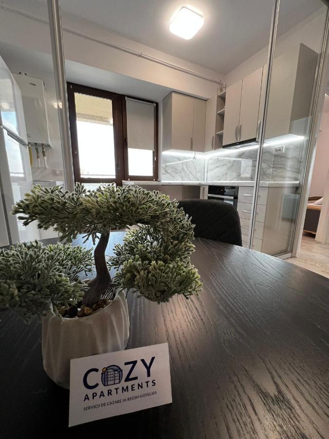 Cozy Apartments - City Center Iasi Esterno foto